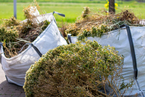  Good Hope, CA Junk Removal Pros